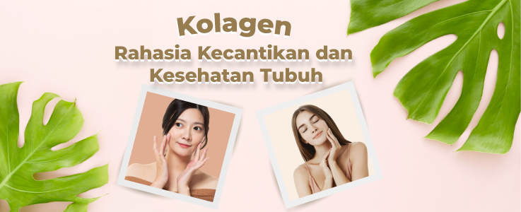 Aisha Farm 02: Solusi Kesehatan & Kecantikan yang Ramah di Cilacap